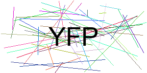 Verificação para Humanos