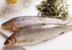 Congelamento e descongelamento de peixes e frutos do mar