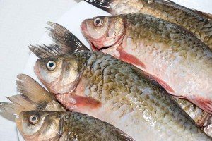 Dicas de como escolher e limpar peixe